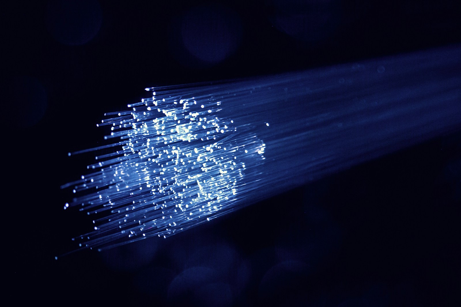 Illuminated optical fibers carrying light through a dark network.